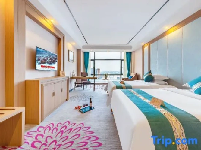 Deluxe Twin room with city view