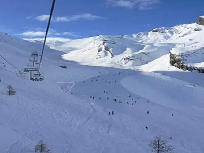 Allos