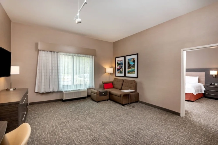 1 Bedroom Suite