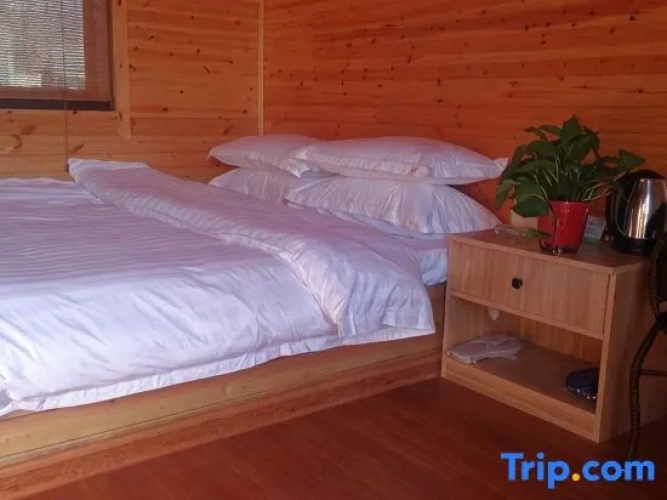 1 Bedroom Standard room