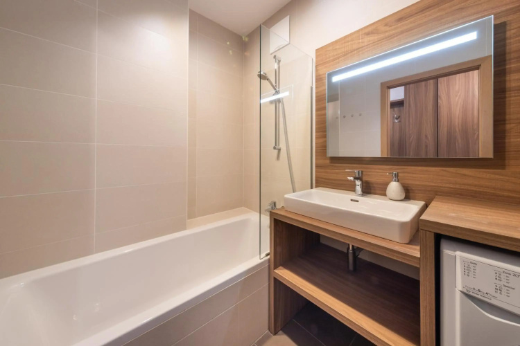 Apartment SCHLADMING - Planai view