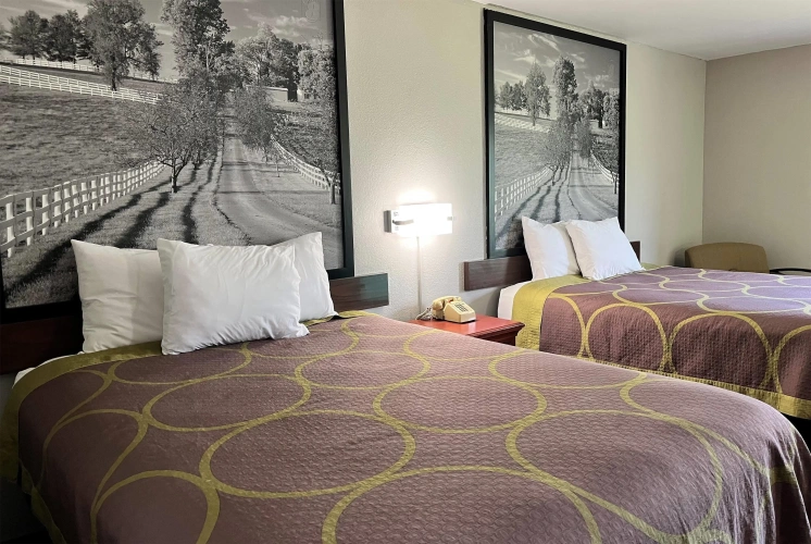 Guest rooms