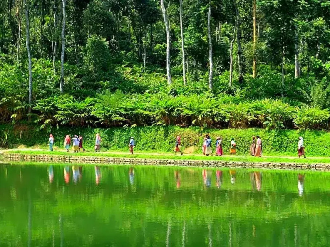 Amaana Plantations Resort