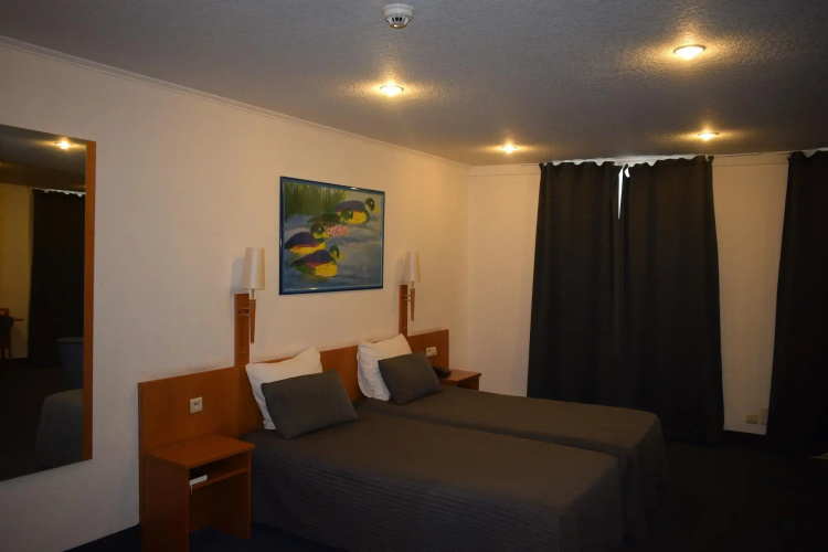 Hotel Professor