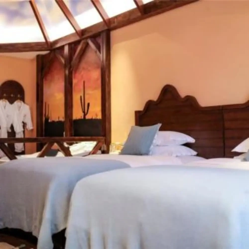 Premium Twin room