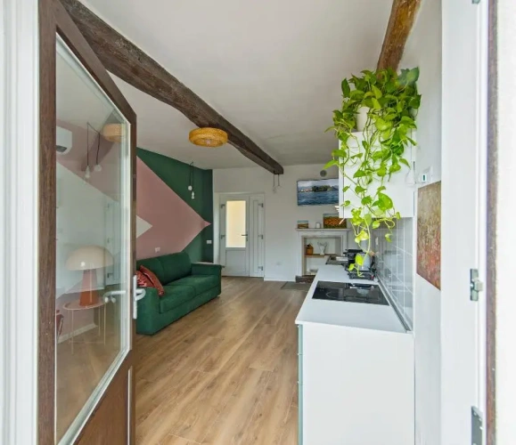1 Bedroom Quadruple Apartment