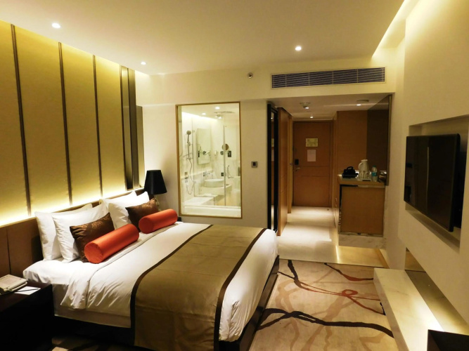 Pride Plaza Hotel Aerocity photo 17