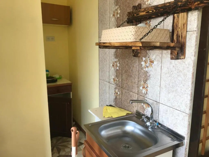 Kotej v tsentre Dilidzhana