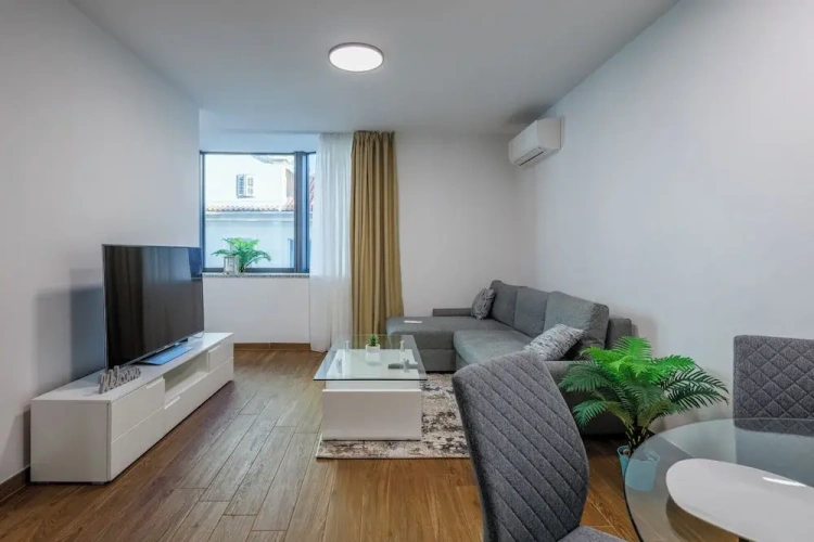 Luxury Apartment