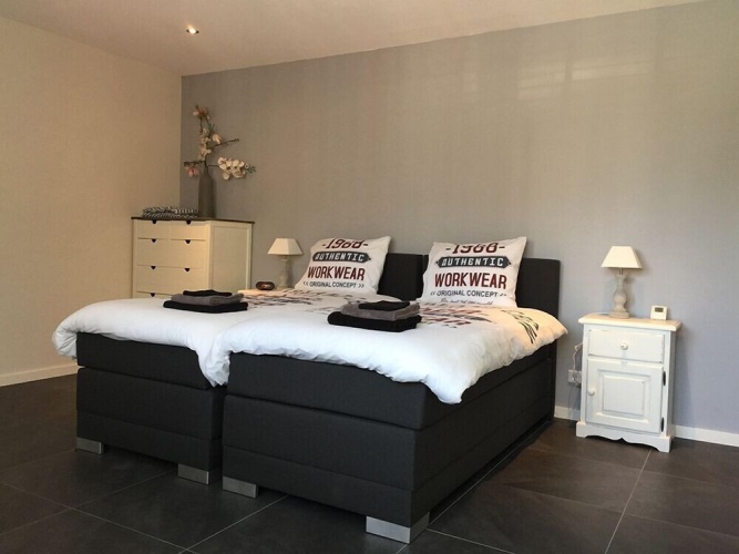 Standard Twin Basement room