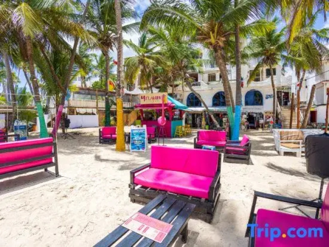 Punta Cana Beachfront - Punta Cana Ocean View