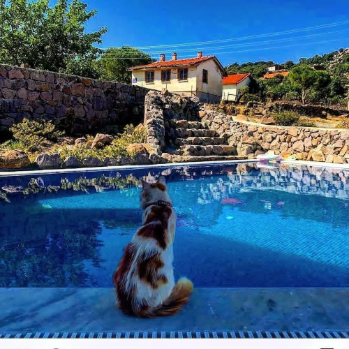 Gulnar Sultan Tas Konak