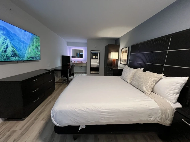 Suite