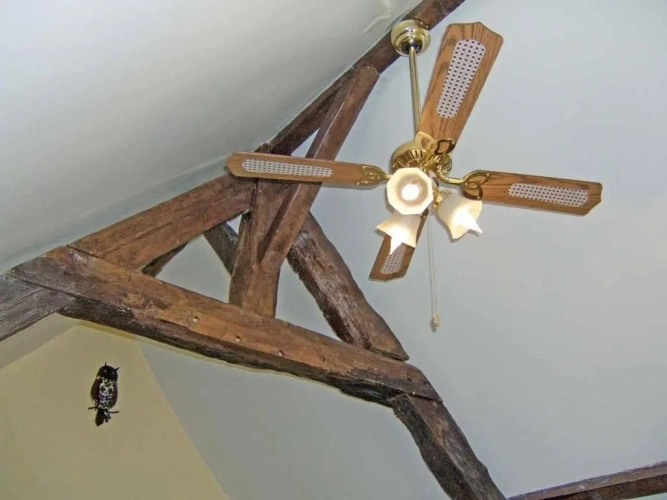3 Bedrooms Cottage