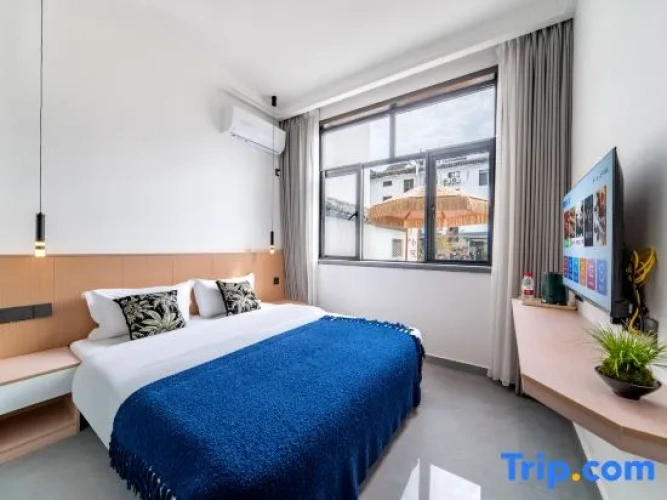Standard Double room with courtyard view