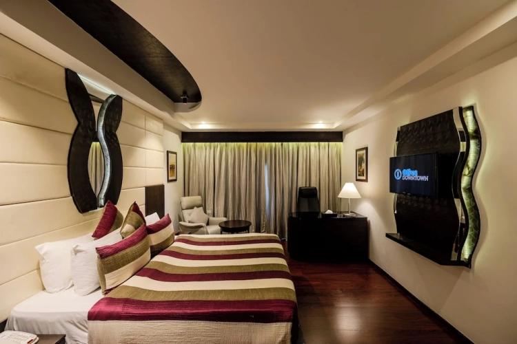 Presidential Double Suite