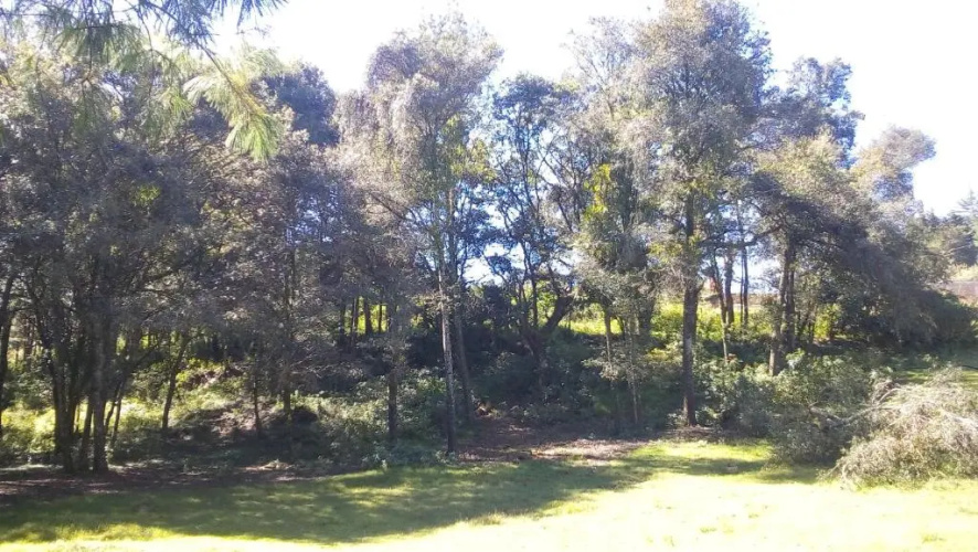 Hotel Bosques