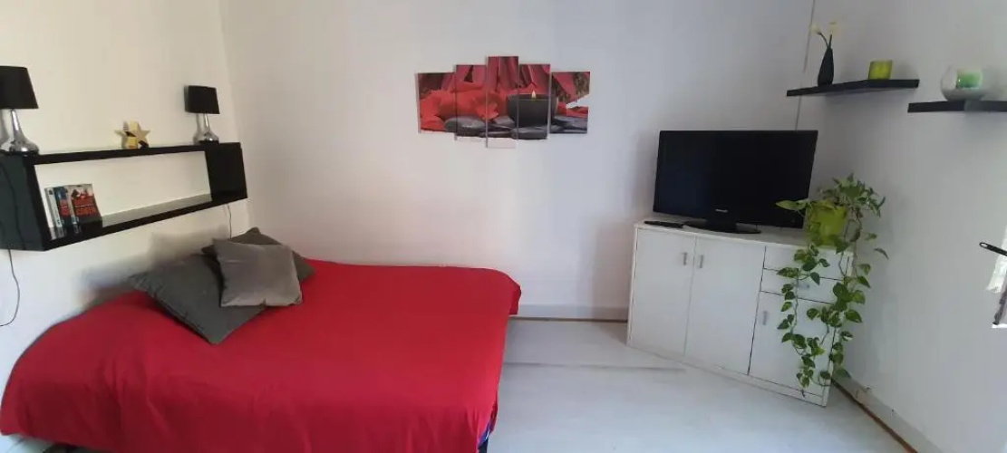 Appartement avec jardin à Colmar