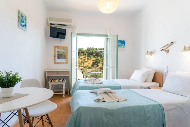 Standard Double room with pool view