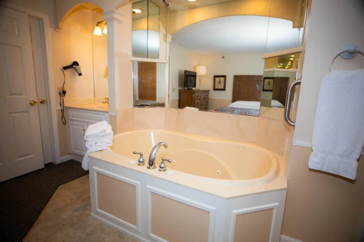 1 Bedroom Suite