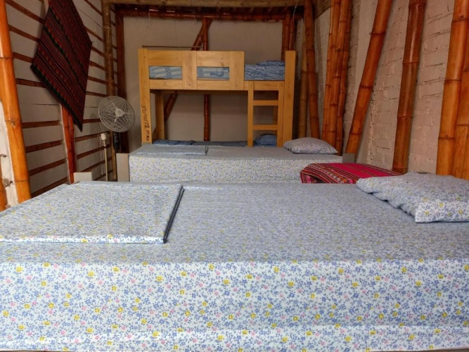 Bed in Dorm