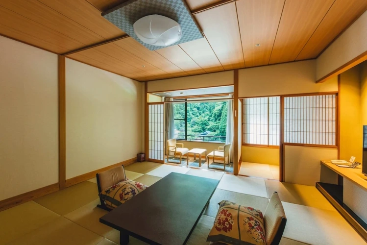 Standard room with river view