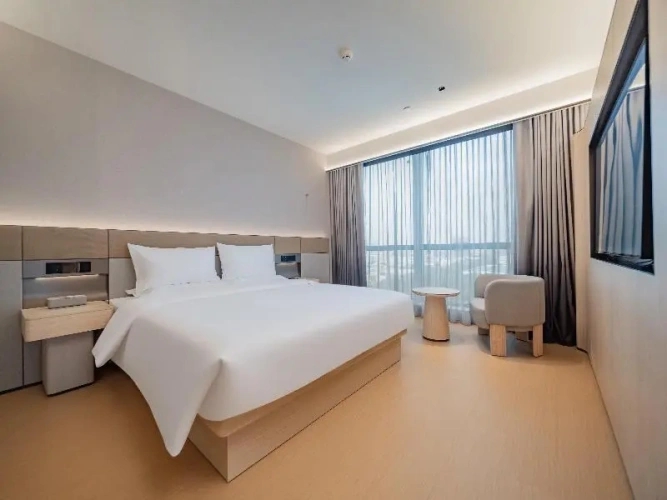 Standard Suite