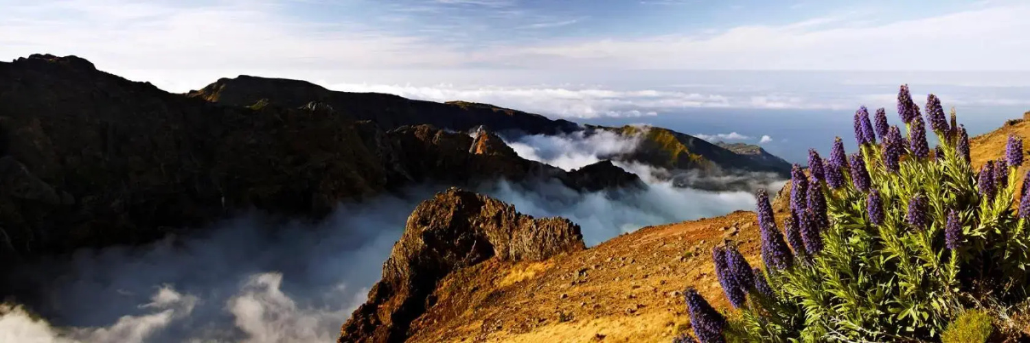 Villa Scirocco Madeira Ocean View