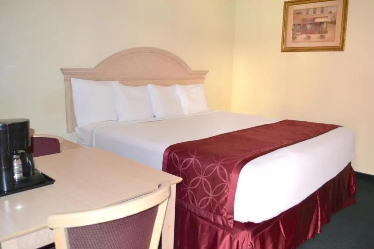 1 Bedroom Standard Double room
