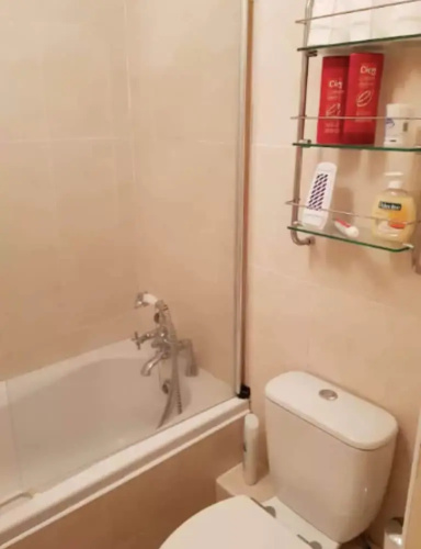 2 Bedroom Flat in Dublin City Centre