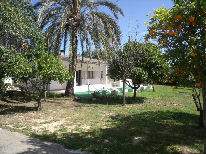 Can Barceló