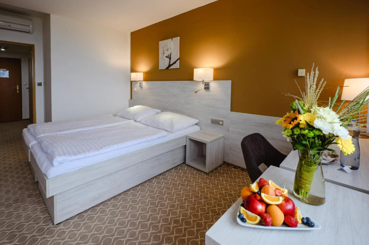 Hotel Vega