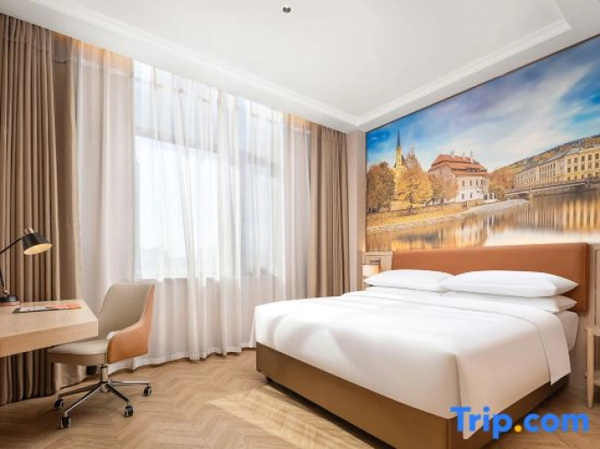 1 Bedroom Executive Suite
