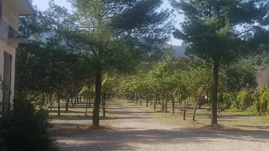 Gapyeong Wooridoori Pension