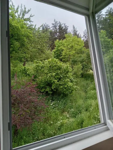Guesthouse Shkhelda