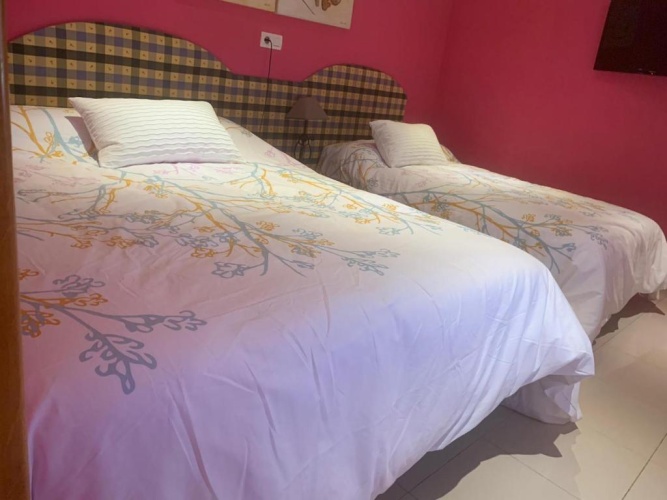 Standard Double room with garden view
