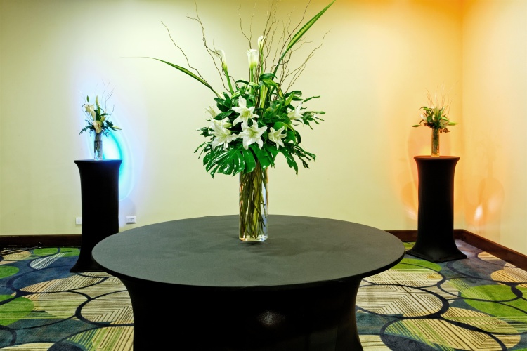 Holiday Inn Santo Domingo photo 14