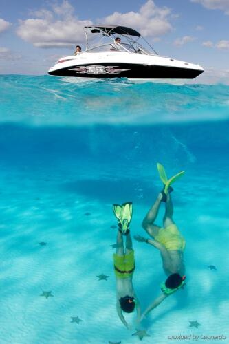 Imagen de Intercontinental Presidente Cozumel Resort Spa, An Ihg Hotel