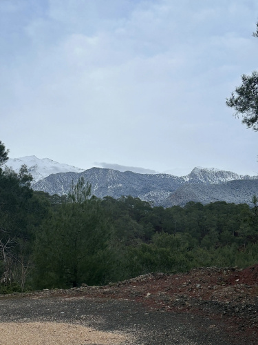 Yenivadi
