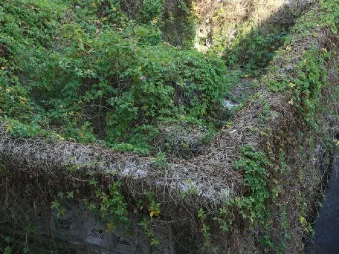 Sanzao Shiyue Hostel