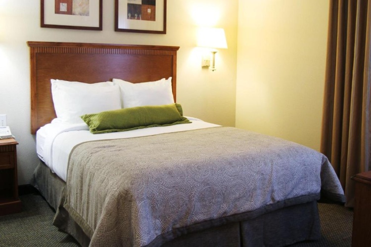 1 Bedroom Suite