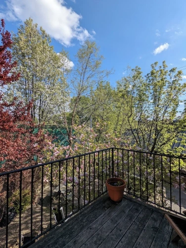 Standard Double room with balcony and with garden view