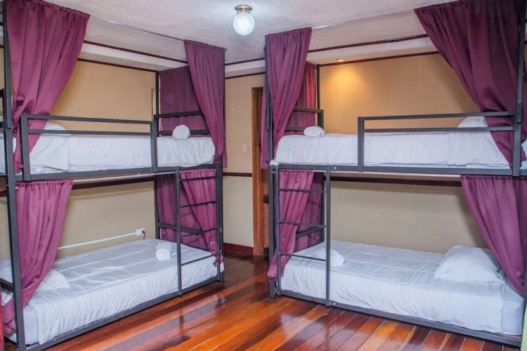 Bed in Dorm