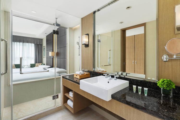 Deluxe Double room with city view