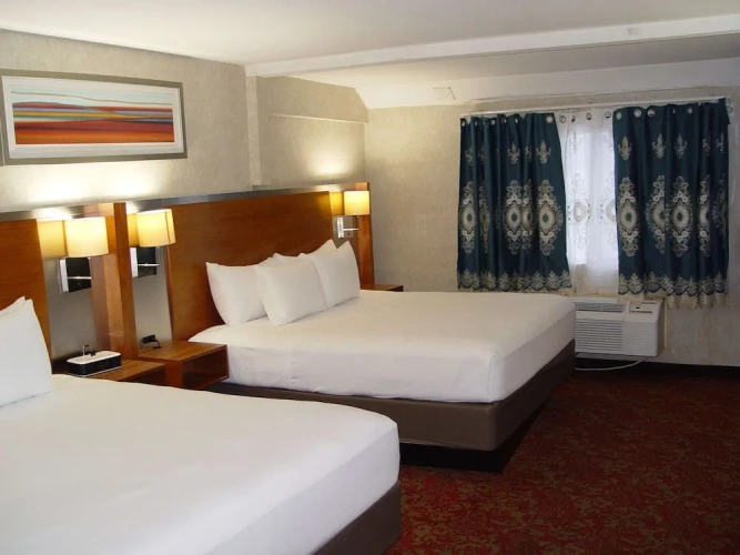 Standard Double room with pool view