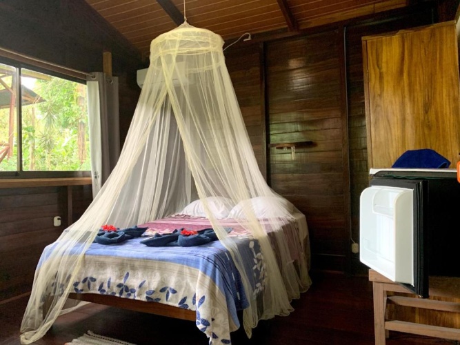 Standard Double room with balcony and with view