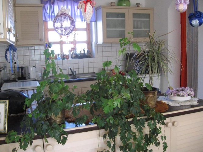 2 Bedrooms Suite