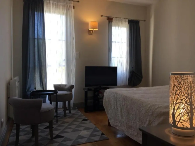 Standard Double room with park view