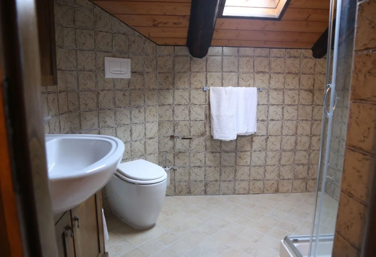 Standard Twin room with mountain view