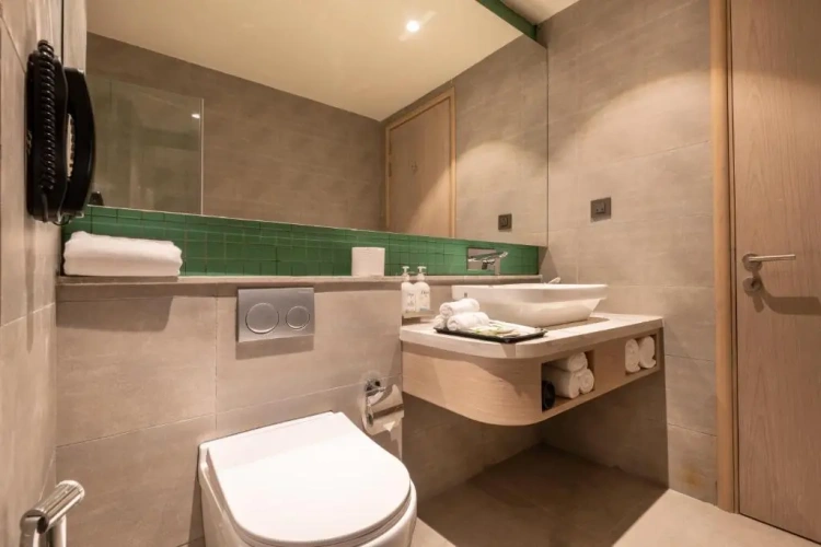 Standard Double room with mountain view